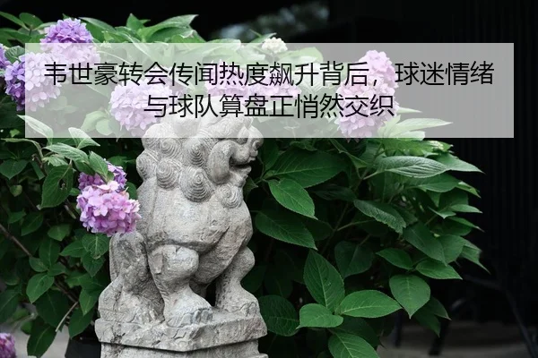 韦世豪转会传闻热度飙升背后，球迷情绪与球队算盘正悄然交织